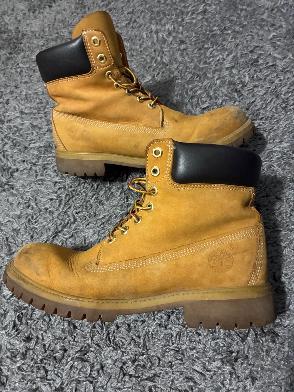 Timberland premium 6 inch boots